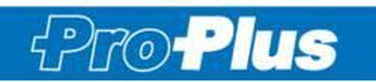 PROPLUS Pro Plus Aanlegspiraal - Hondenpen Met Handvat En Ring - Lengte 39 Cm