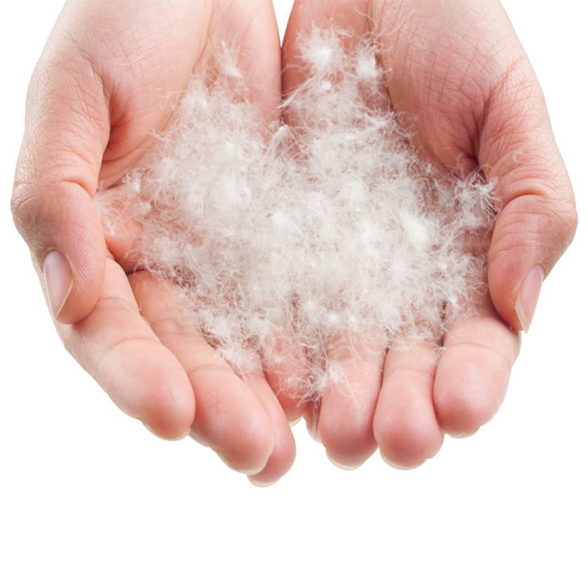  LOWLAND OUTDOOR® Donzen Slaapzak - Companion Economy - 210x80 Cm - Rood