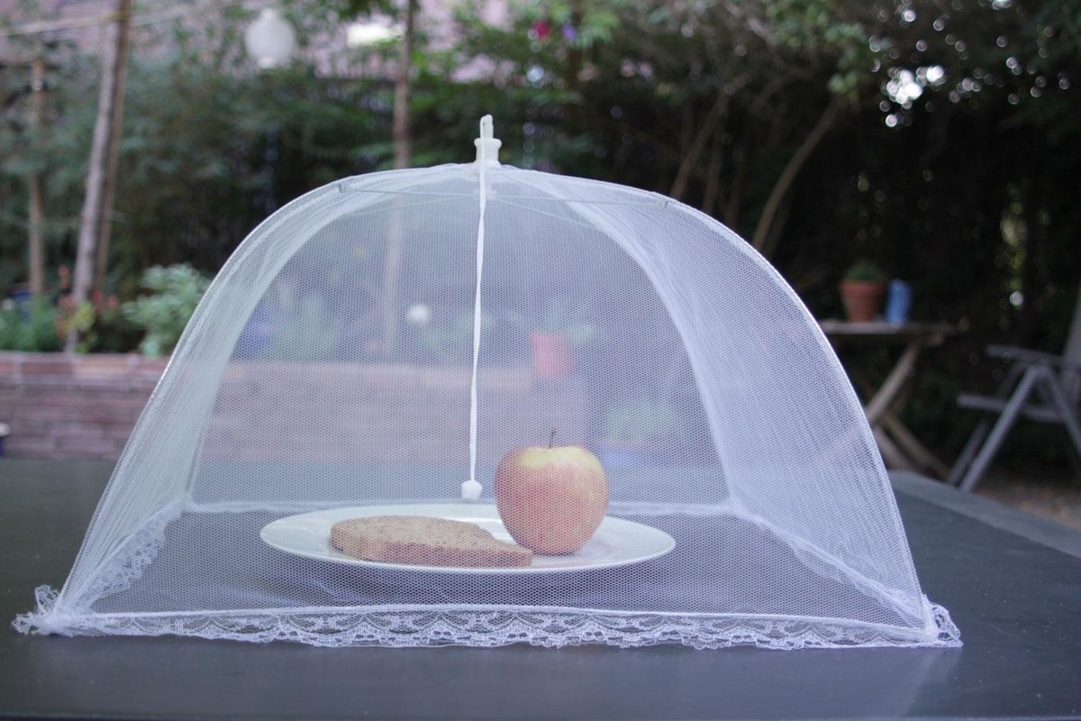  Vliegenkapjes Opvouwbaar 2 Stuks - Wit - 45 X 25 Cm | Flystopper
